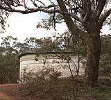 a tank in the Bush