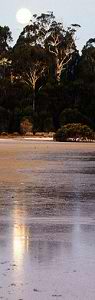 Moonrise on the inlet